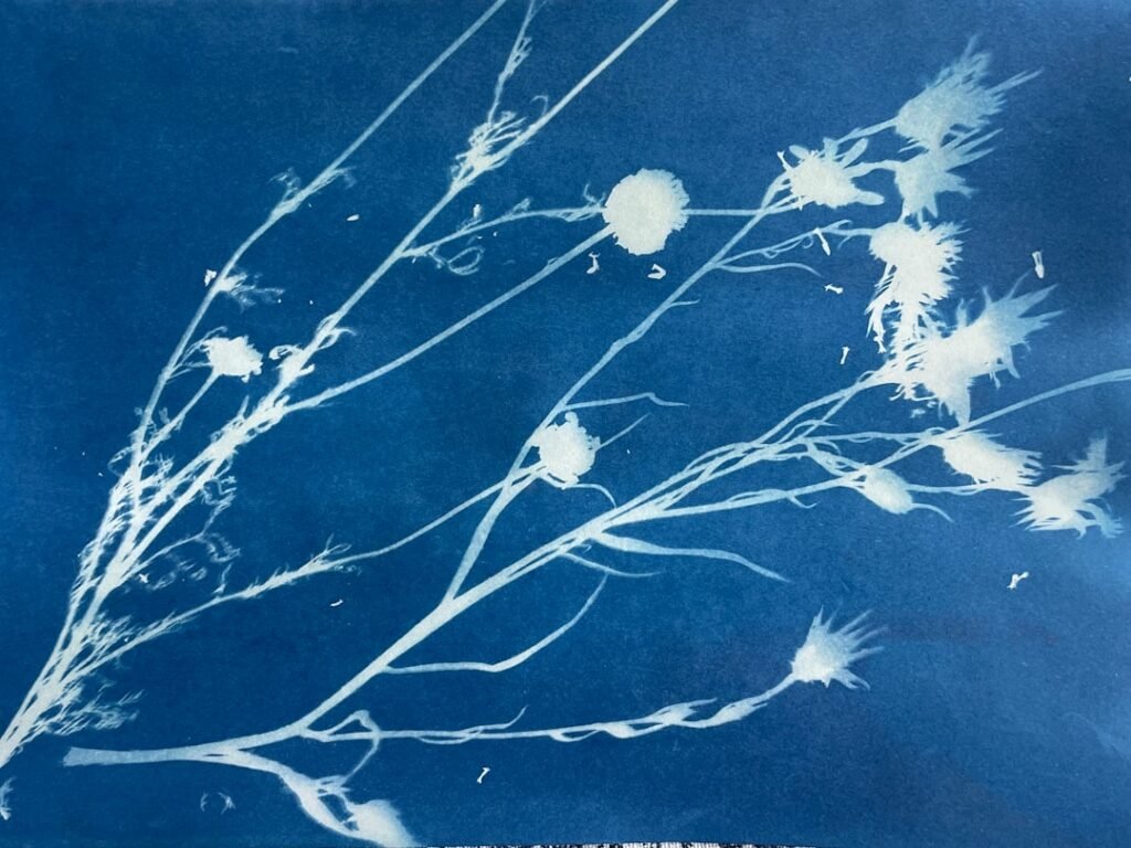 Photo Blueprint Printing